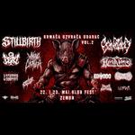 KRMAČA UZVRAĆA UDARAC!