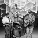 Full Cord Trio at Rockford Brewing