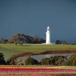 Friday Night at The Patch