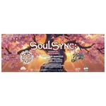 soul sync - equinox awakening