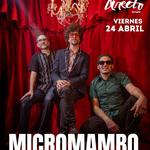 MICROMAMBO en CUENCA Sala Directo