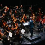 Sens : Rachmaninov, Liszt & Schubert / Anna Fedorova