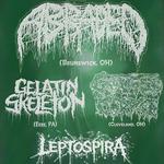 Abraded / Gouted Corpse / Gelatin Skeleton / Leptospira