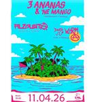 Hamburg, Punk, Abriss - Live in Zittau