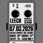 LEECH & WHAT ALEPH SAID