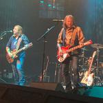 Live in Tarpon Springs