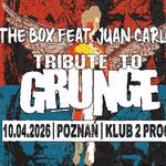 Man In The Box // Lost In You