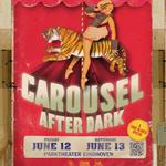 Carousel After Dark