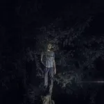 Floex