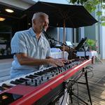 david bonnin Piano et chant solo 