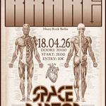 Krake + Space Raptor