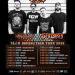 SLAM DOMINATION TOUR