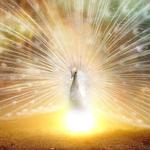 Yogisches Tanzen mit [dunkelbunt]