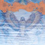 The Waterhawk