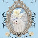 Emmalea Deal & The Hot Mess, Wig Doubt, Manor Gates, and Silk Stockings