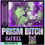 PRISM BITCH / CAT BOX / INTO ACTION