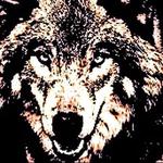 Frenchy and the Punk, Cemetery Sex Live at Smog Annandale, NY