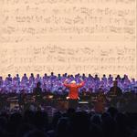 The passions of J.S. Bach