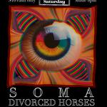 Divorced Horses Live at The Skylark