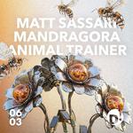 MATT SASSARI x MANDRAGORA x ANIMAL TRAINER