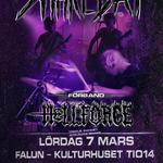 SNAKEBAY x HELLFORCE Live in Falun - Recording Music Video