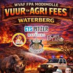 FDA MODIMOLLE FESTIVAL