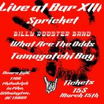 Bar XIII presents: Spricket