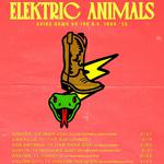 Elektric Animals live at The 806 Coffee + Lounge