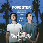Forester - Flash Rooftop