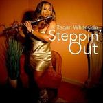 Soundscapes at the Knoxville Museum of Art 