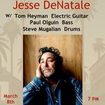 Jesse DeNatale at McCabe's Guitar Shop 