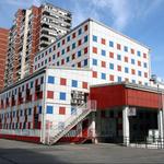 Look What I Found in the Forest