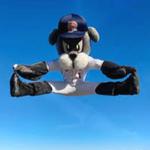 Irish Night at the Portland Sea Dogs