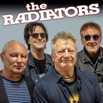 The Radiators at the Pub Rock Diner - Devonport