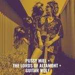 Concert Pussy miel / The lords of almont / guitar wolf