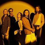 WildFlowers Fest 2026