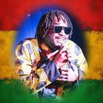 The Wailers 50 Years Of Positive Vibrations