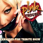 P!NK Trouble Tribute Show im Schlosspark