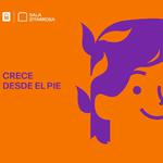 Cantos y Cuentos de Dragón Dorado