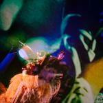 THE THIN PLACE (live music & video mapping)