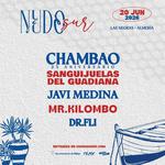 NUDO SUR - LAS NEGRAS - ALMERÍA