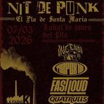 Nit de Punk