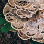 Friday the Thirteenth at Ashbary 