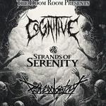 Cognitive at North End Pub