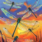 Phenomenal Animal at the Snook Inn!