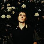 Lemony Rug live @Picknick am Schloss