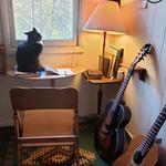 Forest Trail Music Festival 2026