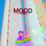 MOOD LIVE PORTO BURCI - VICENZA - TRANSPARENCIES TOUR