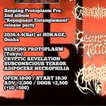 Secrets of the dead vol.5