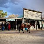 Patagonia Lumber Co. 